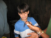 Young Visitor Observing a Harmless Snake, Mindo Ecuador, El Monte Sustainable Lodge